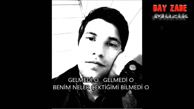 Süleyman NİFTELİYEV   Gelmedi O Dilinize 2018