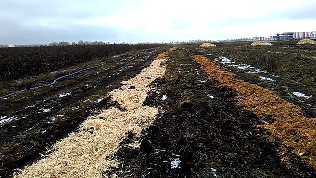 Подготовка почвы под посадку малины