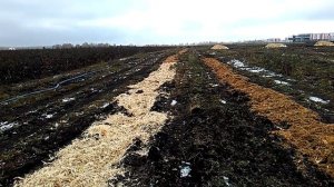 Подготовка почвы под посадку малины