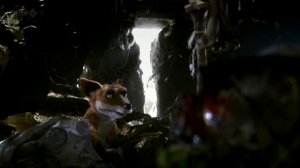 Mongrels - Проспал