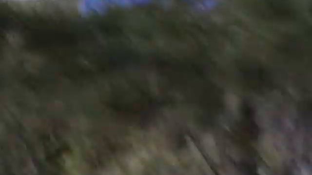 Медведь на Байкале смотреть онлайн
