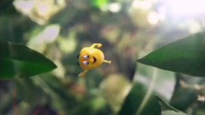 Молодая Кукуруза Бондюэль