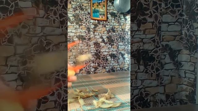 Пир во Вкусе