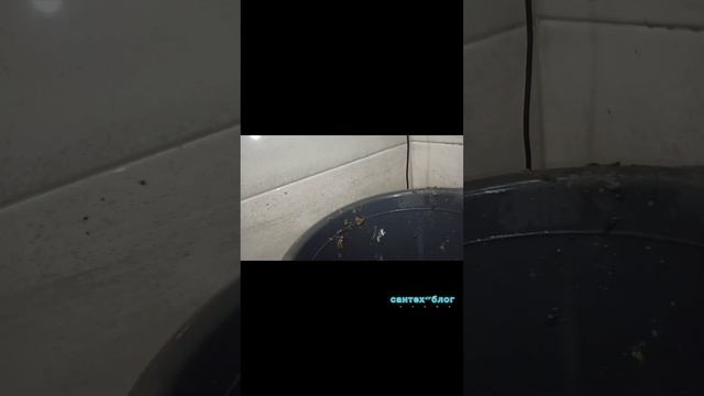 демонтаж душевой кабины при помощи реноватора ??? смотреть онлайн