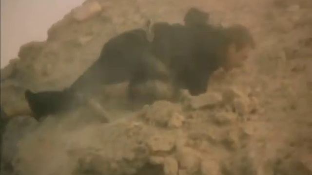 Гражданская оборона - Вселенская, большая любовь смотреть онлайн