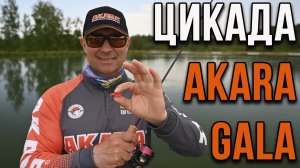 Блесна цикада Akara Trout Time Gala