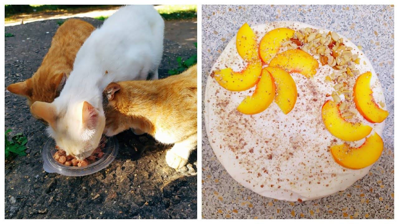 VLOG Все...как обычно