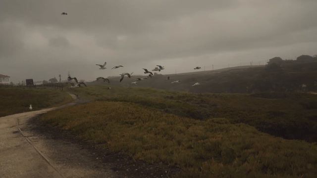 Alone with the Ocean | a cinematic Sony FX3 video смотреть онлайн