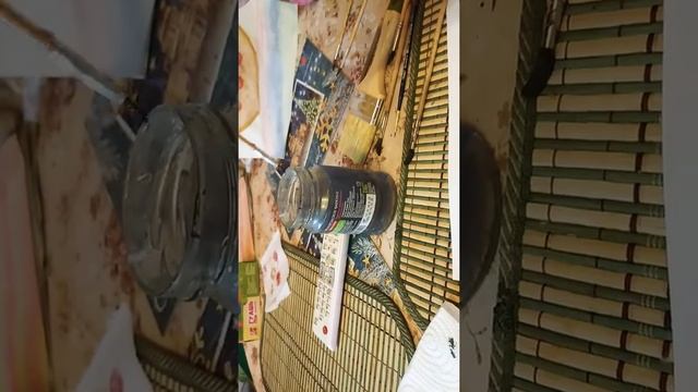 Рисуем Машину? смотреть онлайн