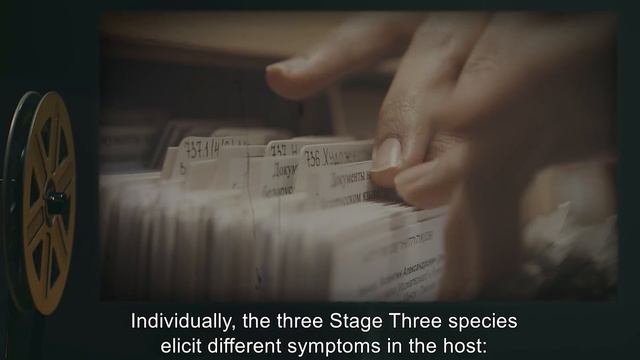 SCP-129 | Progressive Fungal Infection (SCP Orientation) смотреть онлайн