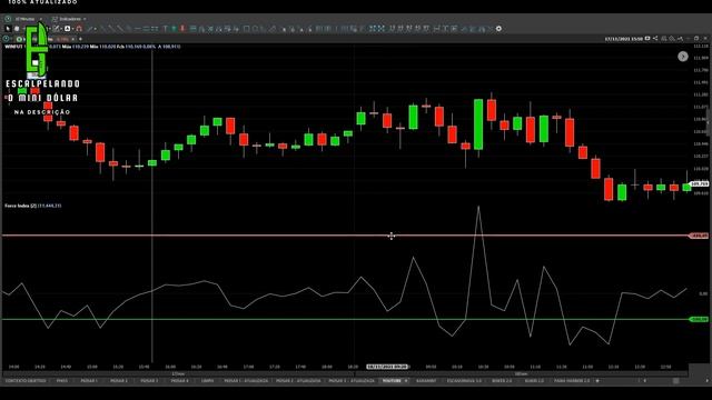 DAY TRADE - Mais UM INDICADOR ESPETACULAR de ALEXANDER ELDER - FORCE INDEX - Setup "MILENAR" #3 смотреть онлайн