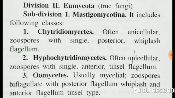 Classification of fungi