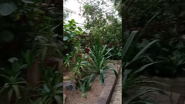 ботанический сад уфа смотреть онлайн