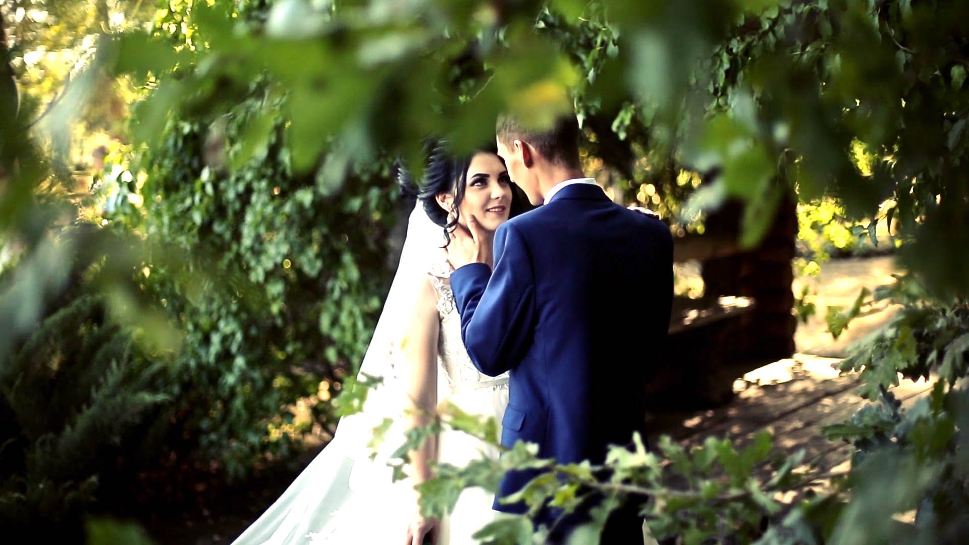 Романтичное свадебное видео для обаятельной пары смотреть онлайн