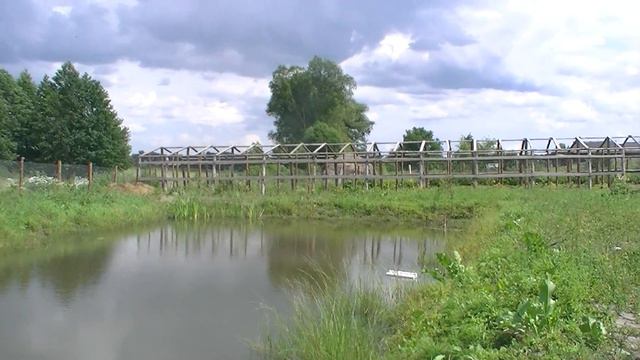 ПРУД В ДЕРЕВНЕ, год спустя. смотреть онлайн