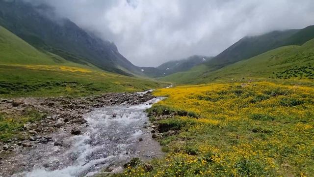 Сев Кавказ 2021 Красота смотреть онлайн