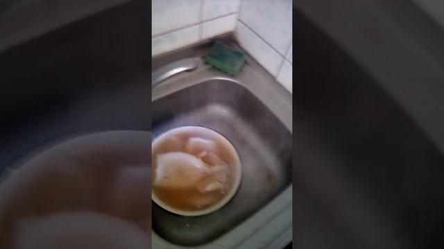 VID 20170315 144519 смотреть онлайн