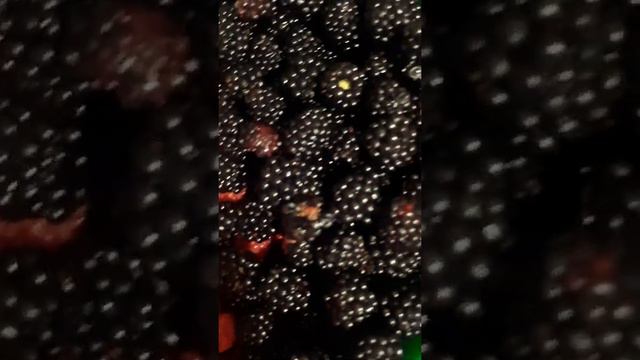 /Компот/ из фруктов и ягод смотреть онлайн