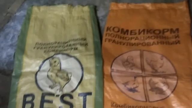 Выращивание бройлеров, кормление, схема пропойки смотреть онлайн