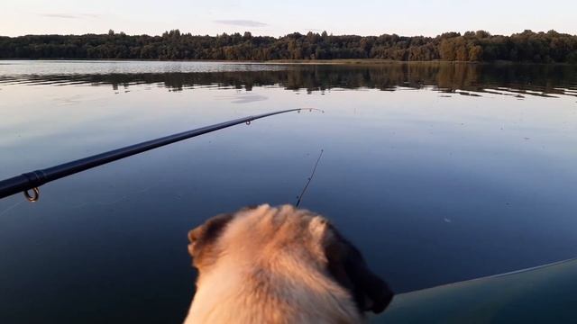 Рыбалка. Озеро Соро. Ужин на костре. Ночёвка в палатке смотреть онлайн