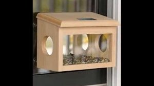 50 идей кормушек для птиц и белок из дерева и бутылок своими руками.