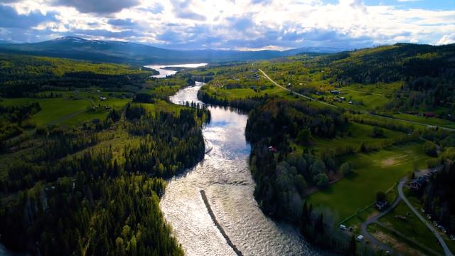 Relaxing piano music for morning exercises - Wake up in the morning to very relaxing nature music смотреть онлайн