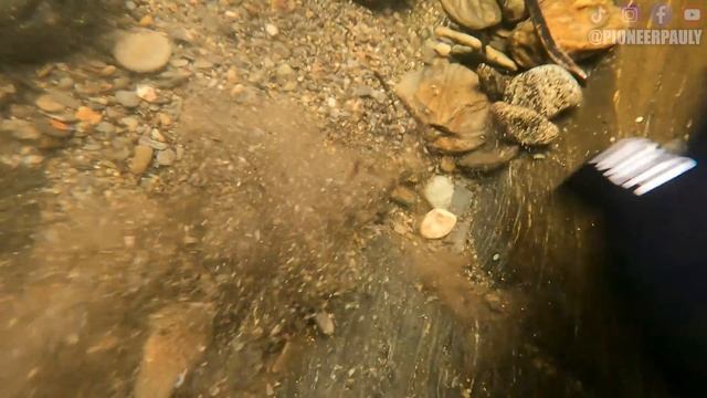 Why Is There So Much Gold In This River?