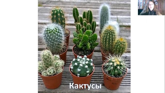 Искусство визуальной фантазии