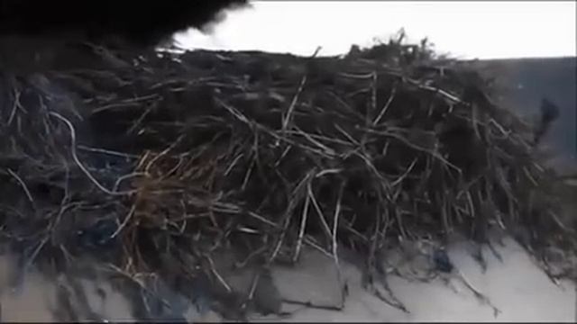Что творят из покрышек в Европе смотреть онлайн