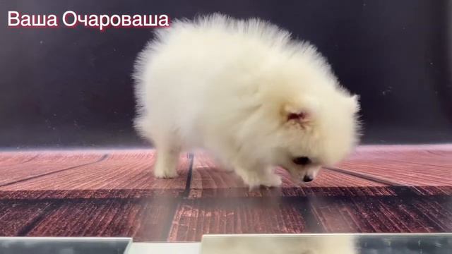 От Исаны смотреть онлайн