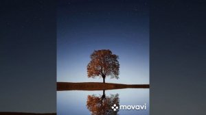 Сыймык Бейшекеев -Махабат сыры...