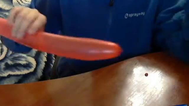 Собачка из воздушных шаров