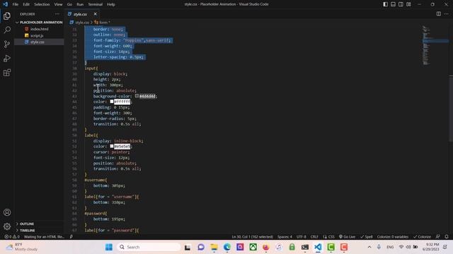 Placeholder Animation With Javascript смотреть онлайн