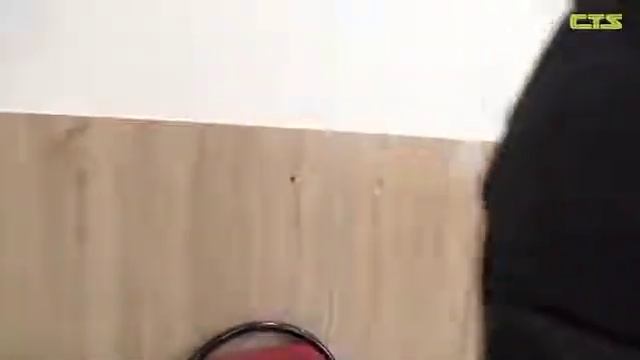 Смартфоны: весь мир в твоих руках