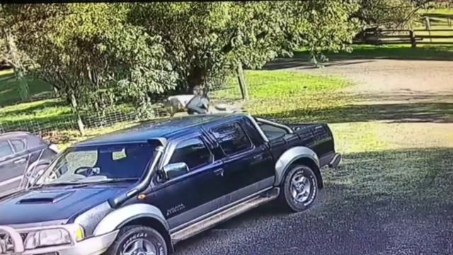 Обычный день в Австралии смотреть онлайн