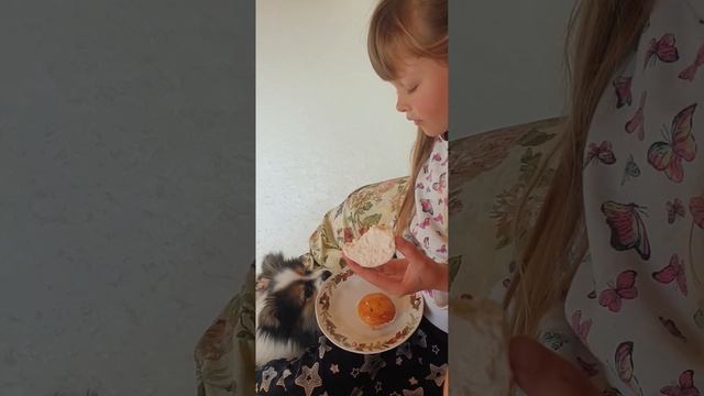 кто цветы дарит, тот за ними и ухаживает??? смотреть онлайн