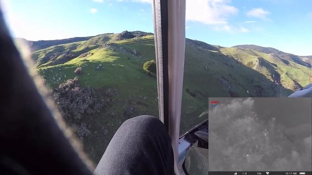 Pulsar Helion XQ19F thermal imager helicopter goat cull смотреть онлайн