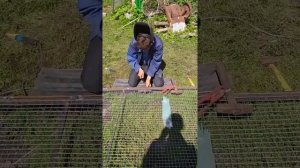 Как натянуть сварную сетку