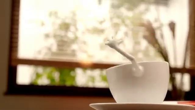 4Ushops Lotus Original Caramelised Biscuit Office 30s Belgium packshot Pocket смотреть онлайн