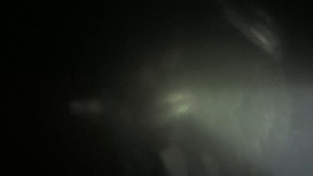 Ход воблы в Астрахани