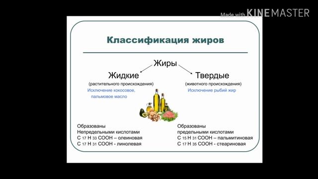 Химия 9 класс. Жиры. Состав жиров, физические свойства. 09.04. Скляр В.С. смотреть онлайн