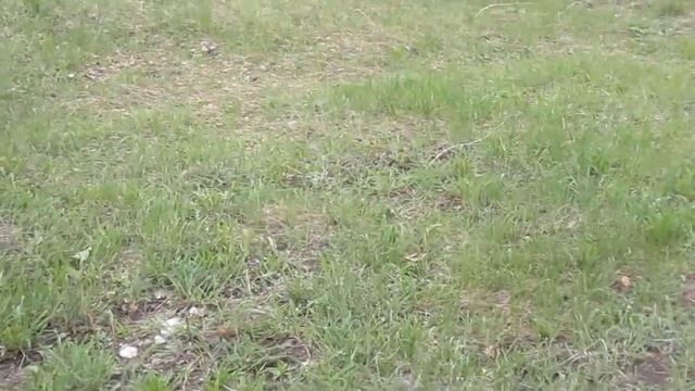 День победы-со слезами на глазах. смотреть онлайн