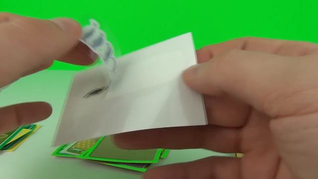 Animals 2014 Sticker Collection Album Review & Pack Opening, Panini