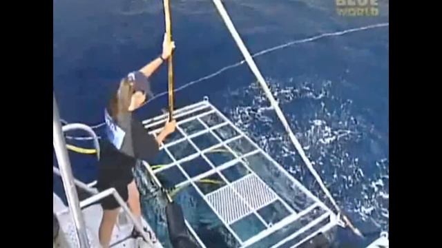 {YTP} ~ The Sharkshank Redaction смотреть онлайн