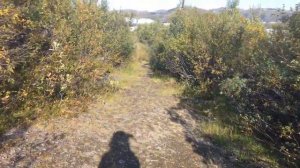 Никогда не думал, что увижу Заозёрск снова 20180830