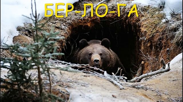 Развитие речи "Лесная прогулка к бабушке на день рождения!" старшая группа. смотреть онлайн