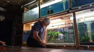 Ремонт аквариумов экспромтом.