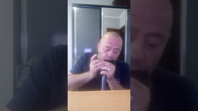 Леонид Агутин & Анжелика Варум–Я буду всегда с тобой(Cover) смотреть онлайн