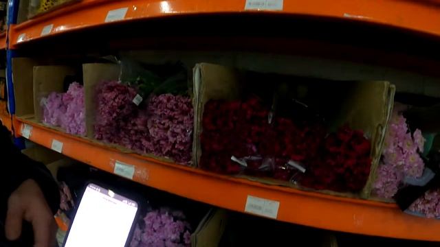 Купить цветы, мелкий опт Москва. Магазин цветов «Блэк Баккара» на Рижской смотреть онлайн