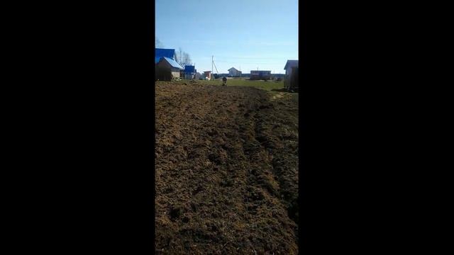 Халтурим на культиваторе. смотреть онлайн